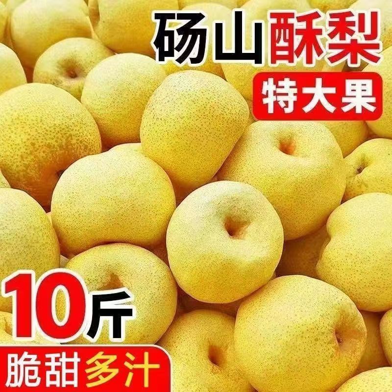 【爆汁】砀山酥梨正宗薄皮脆薄皮新鲜当季水果整箱批发