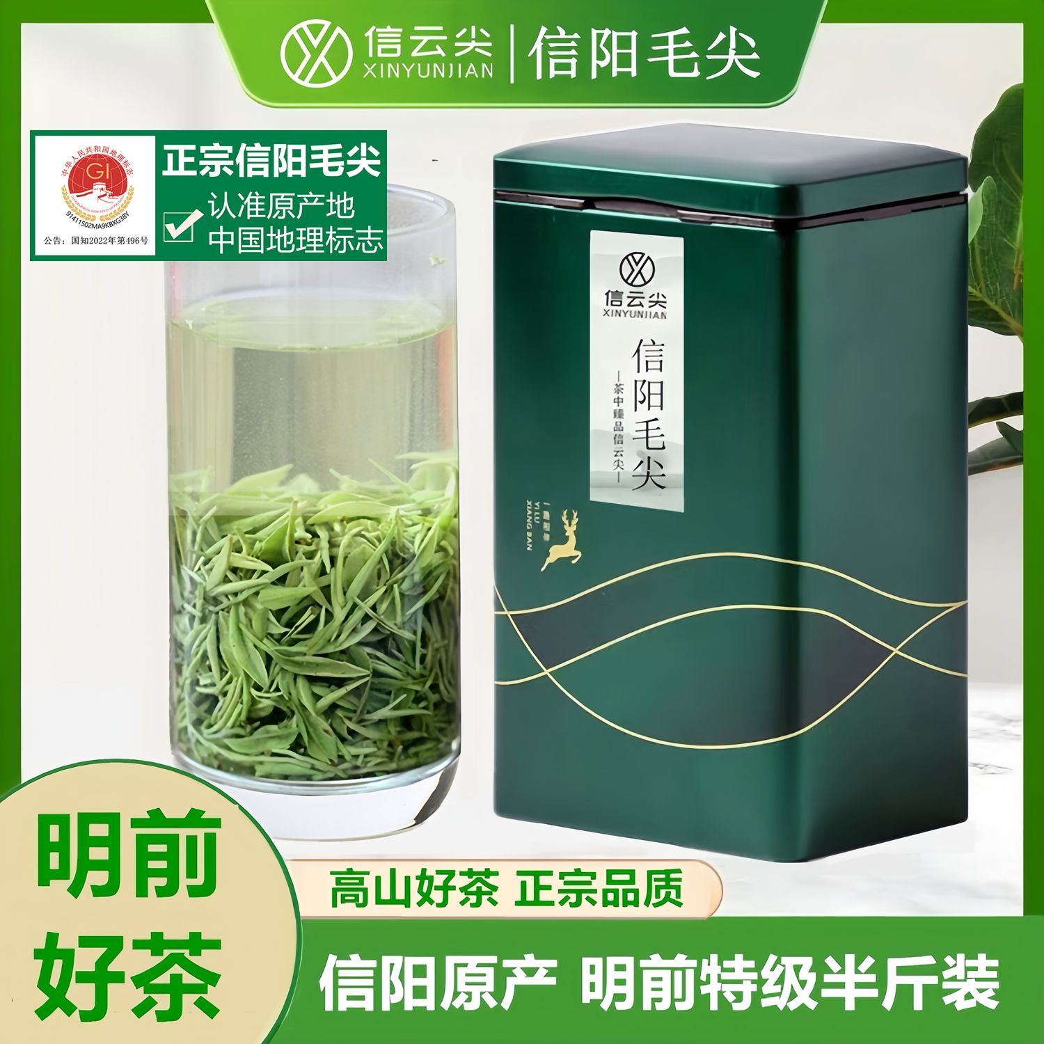 【信云尖】正宗毛尖信阳毛尖明前特级嫩芽2026新茶叶绿茶250g罐装