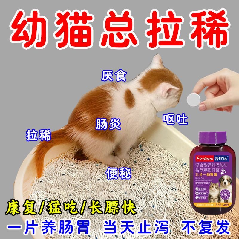 宠物肠胃宝猫咪益生菌狗狗肠胃调理幼猫小猫腹泻呕吐拉稀便秘专用
