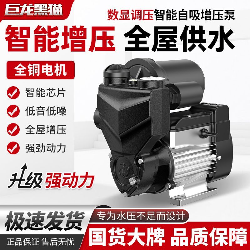 巨龙黑猫增压泵家庭用自吸泵全铜自动智能抽水泵自来水管道加压泵