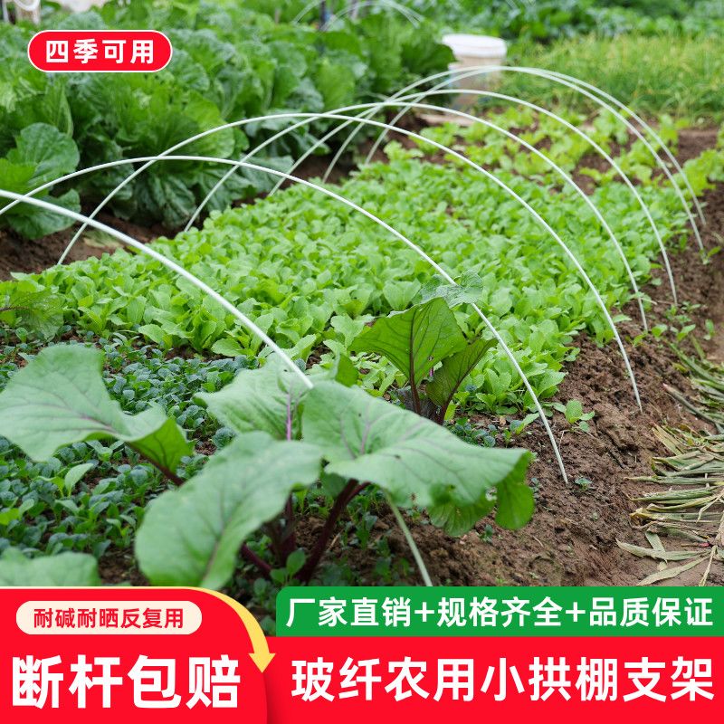 小拱棚支架蔬菜实心杆超硬防虫网拱杆玻璃纤维杆爬藤杆瓜棚国标