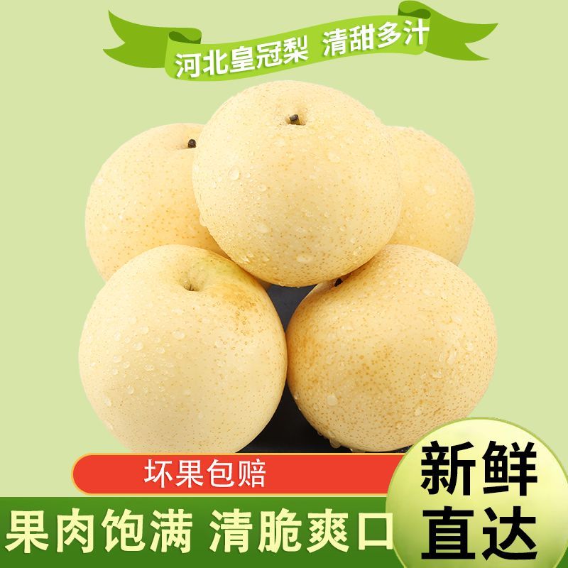皇冠河北正宗水果新鲜应季批发整箱梨子脆甜薄皮润肺雪梨酥梨鸭梨