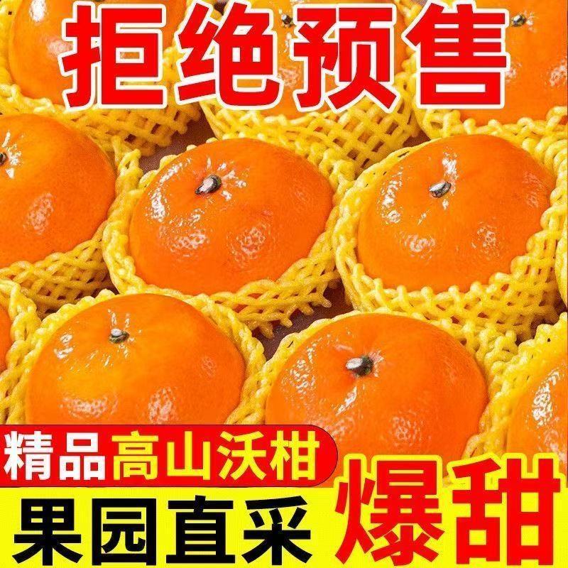 当天摘】超甜云南沃柑广西武鸣沃柑大果当季新鲜水果薄皮橘子爆甜