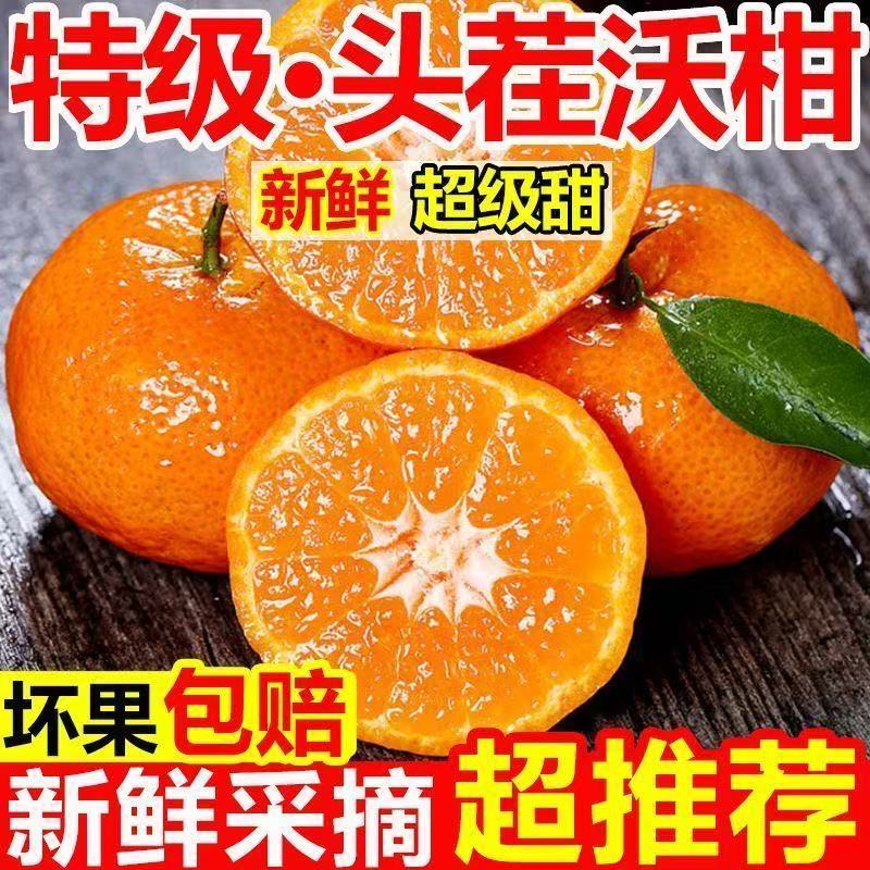 当天摘】超甜云南沃柑广西武鸣沃柑大果当季新鲜水果薄皮橘子爆甜