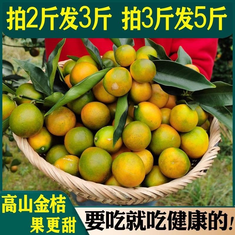 【纯甜不酸】广西融安滑皮金桔新鲜应季水果桂林脆皮金桔一级鲜果
