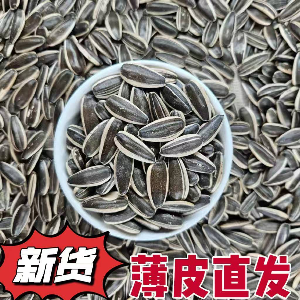 原味熟炒瓜子新货新鲜铁锅内蒙古瓜子花脸颗粒葵花籽炒货零食散装