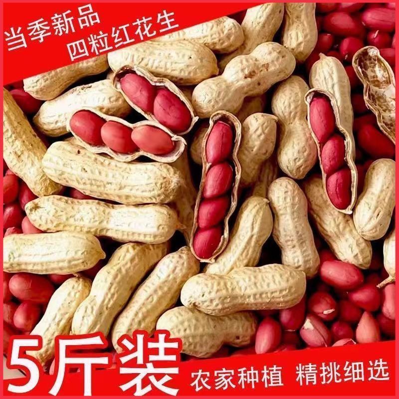 新鲜晒干红衣东北四粒红生花生批发2025自种红皮带壳花生