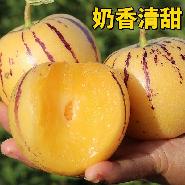 【商超品质】云南石林人参果风化石圆果黄果低糖水果