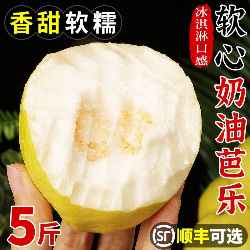 【顺丰包邮】广西软糯奶油冰淇淋口感白心芭乐番石榴新鲜现摘