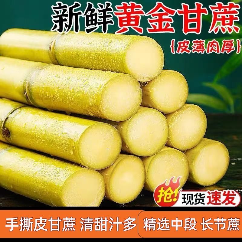 薄皮云南黄金甘蔗脆甜青皮整箱当季批发新鲜水果正宗中段现砍黄皮