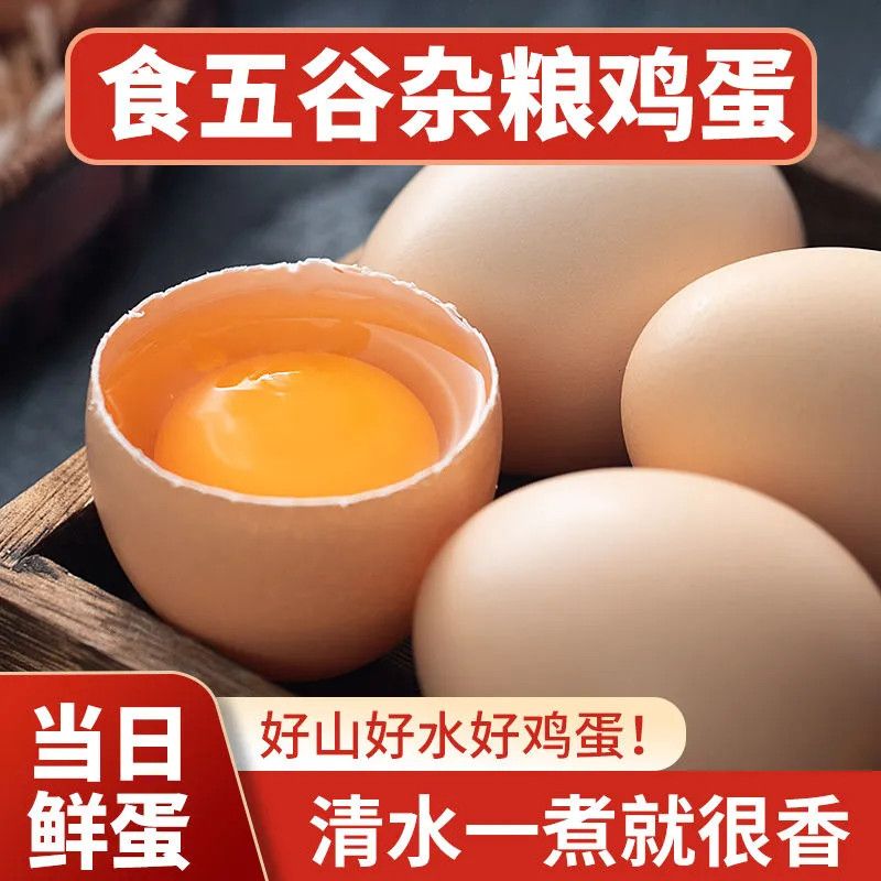 新店冲量】单枚40g高品质山林散养土鸡蛋营养柴鸡蛋整箱20枚