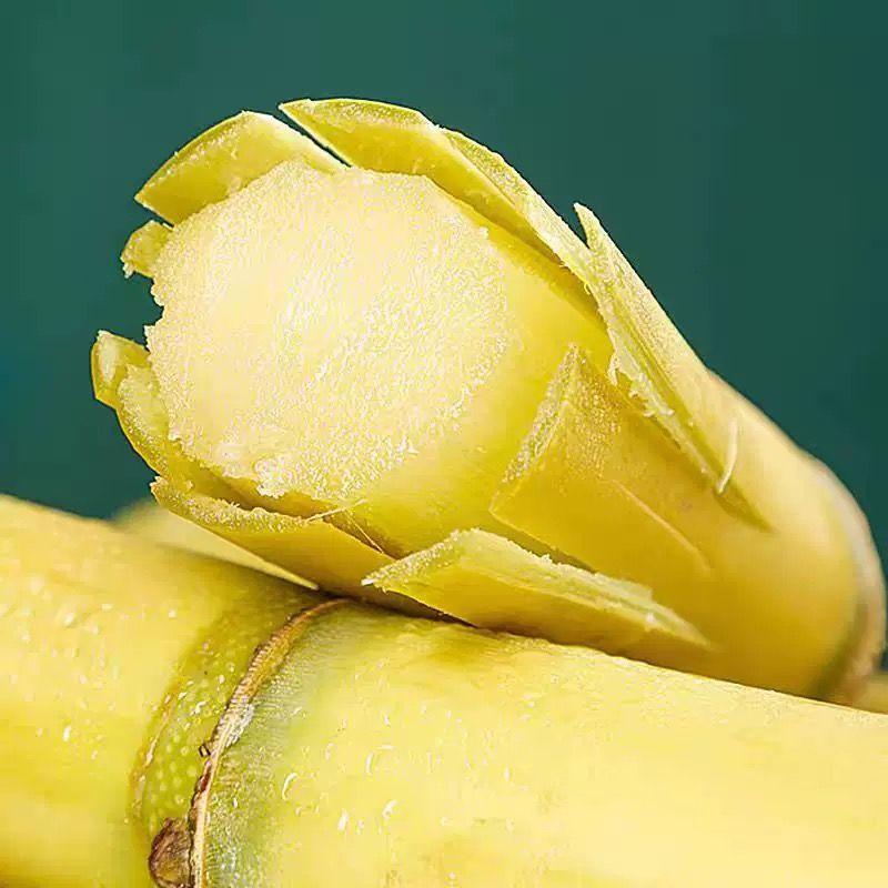 【箱装】中段现砍黄金甘蔗脆甜整箱甘蔗新鲜水果正宗皮薄脆甜香
