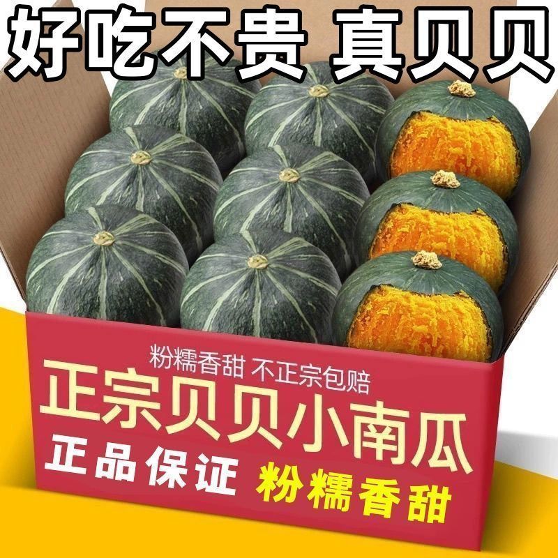 正宗贝贝南瓜板栗味南瓜小南瓜带箱新鲜直发辅食老南瓜粉糯宝宝