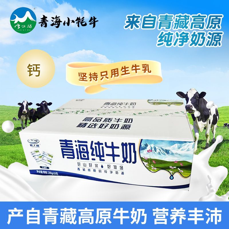 青海牛奶藏之巅纯牛奶新日期全脂牛奶学生早餐营养奶