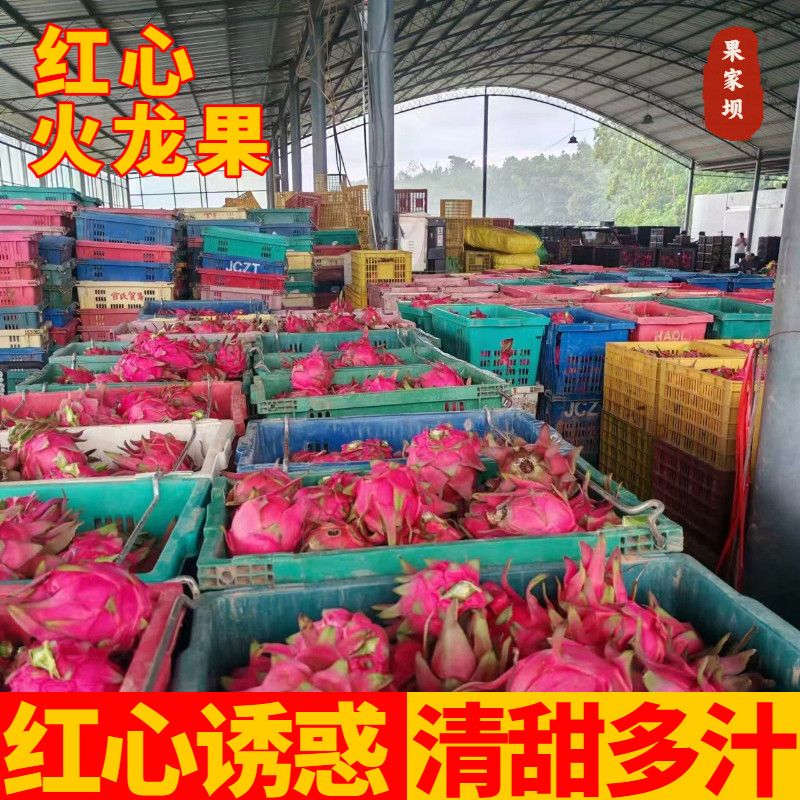 国产红心火龙果红肉热带新鲜应季新鲜水果整箱产地直发 图片 4