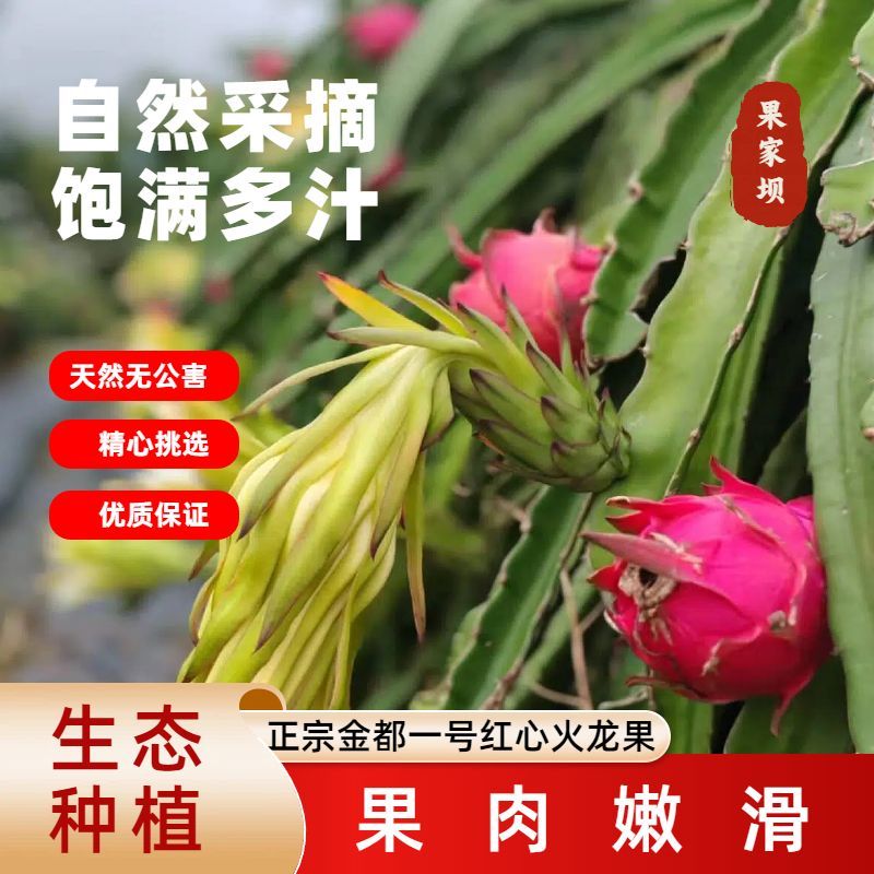 国产红心火龙果红肉热带新鲜应季新鲜水果整箱产地直发