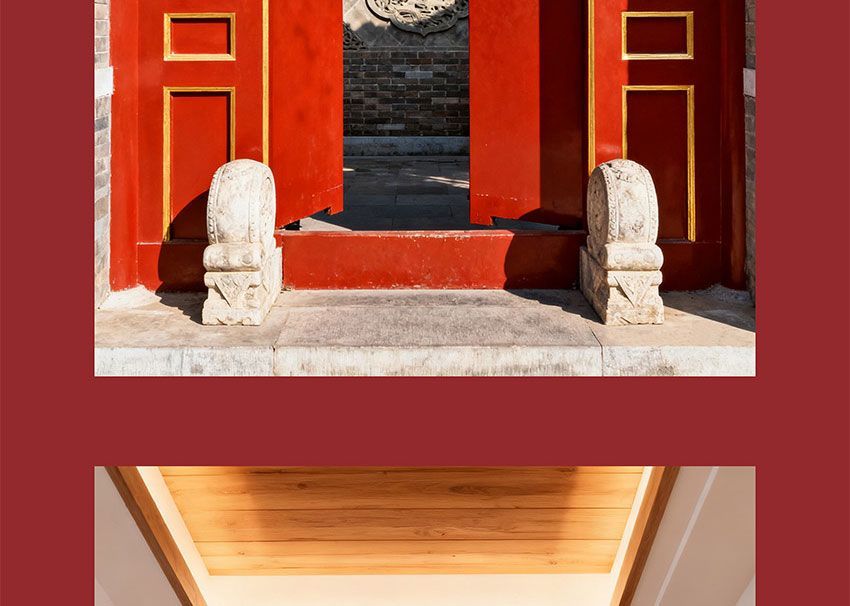 Dragon Turtle Feng Shui 4