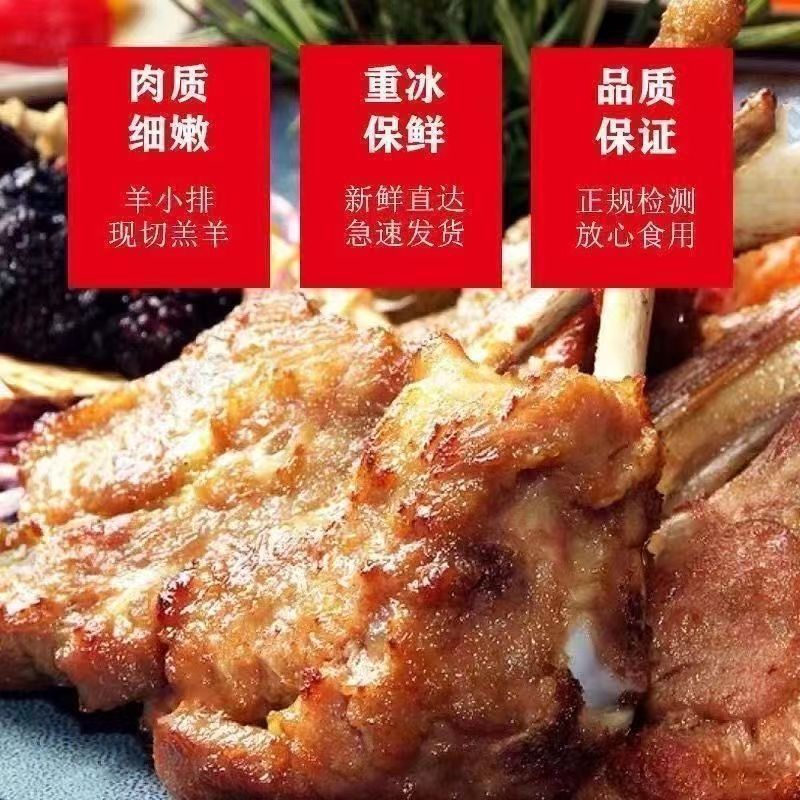新鲜羊排骨羊排尖羊肉内蒙煲汤原切羊排骨无拼接肥瘦相间烧烤批发