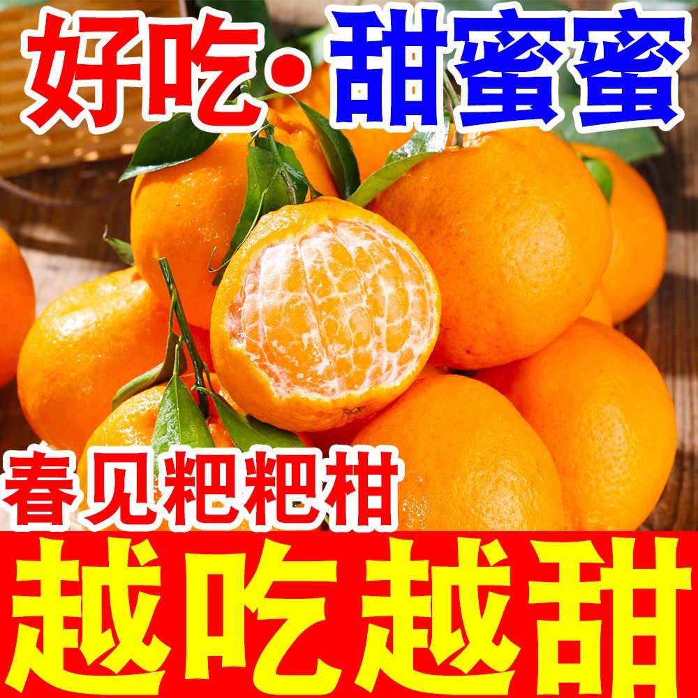 当天摘超甜四川耙耙柑粑粑柑春见丑橘当季新鲜水果丑八怪橘子