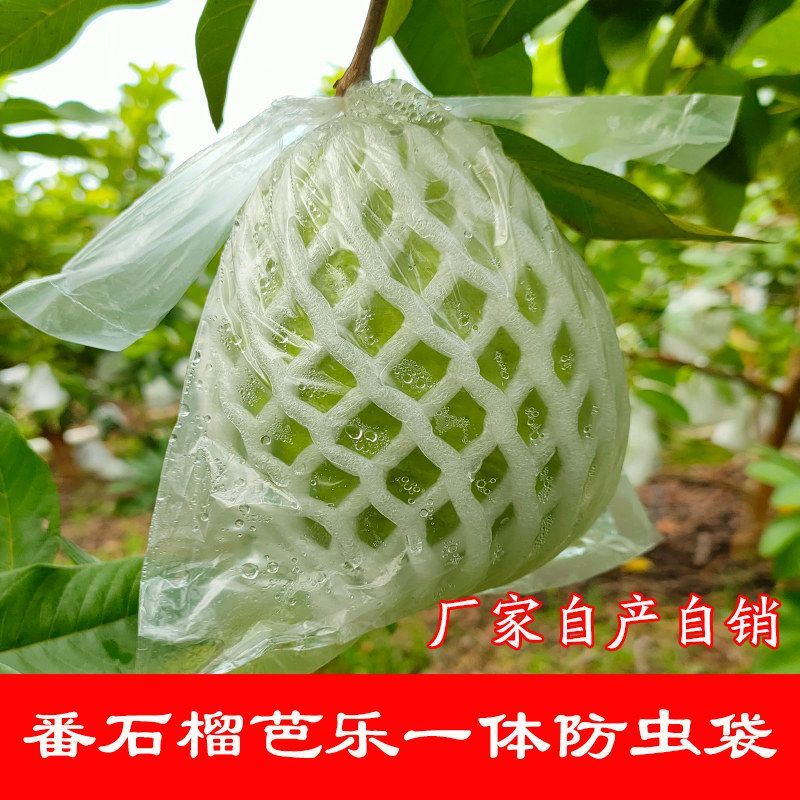 番石榴套袋防虫网袋专用一体泡沫包装袋加厚袋芭乐水果网套芭乐袋