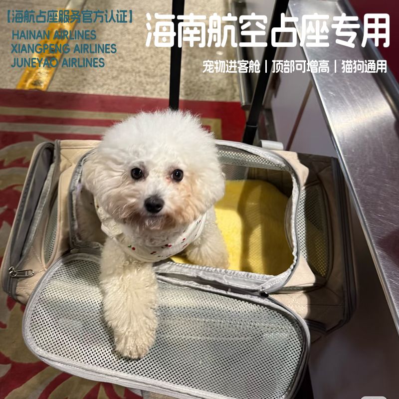 宠物航空软包海航占座南航进客舱祥鹏吉祥航空超大号狗狗猫包柯基