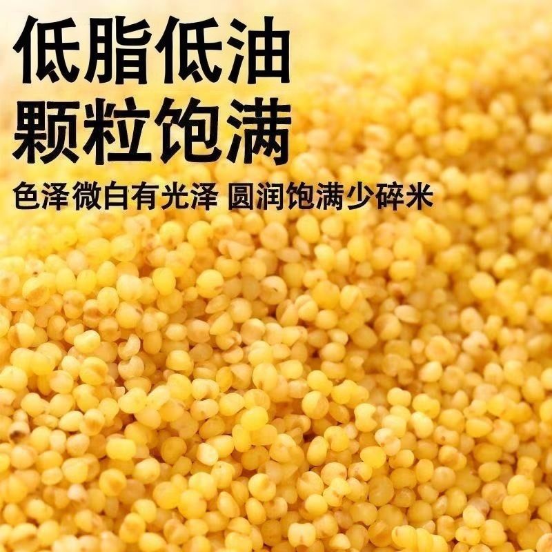 A-C9-东北低脂低油微白黄小米-2斤-1袋