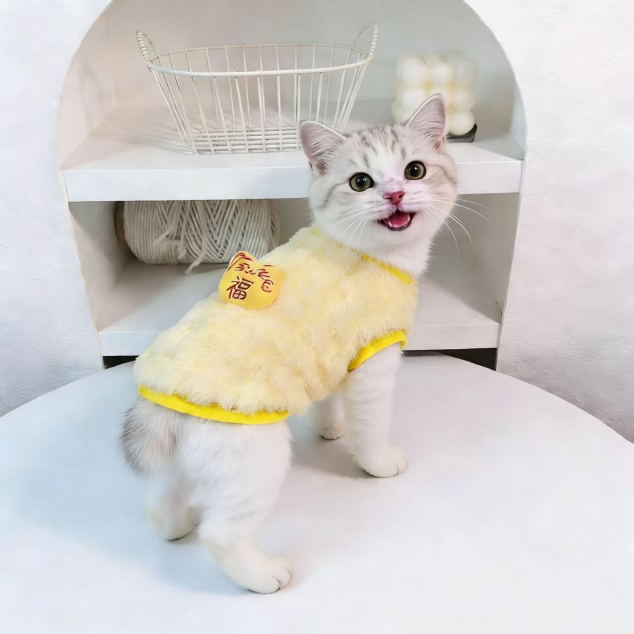 幼猫猫咪衣服双面绒冬季保暖宠物可爱布偶幼犬狗狗加厚背心加绒