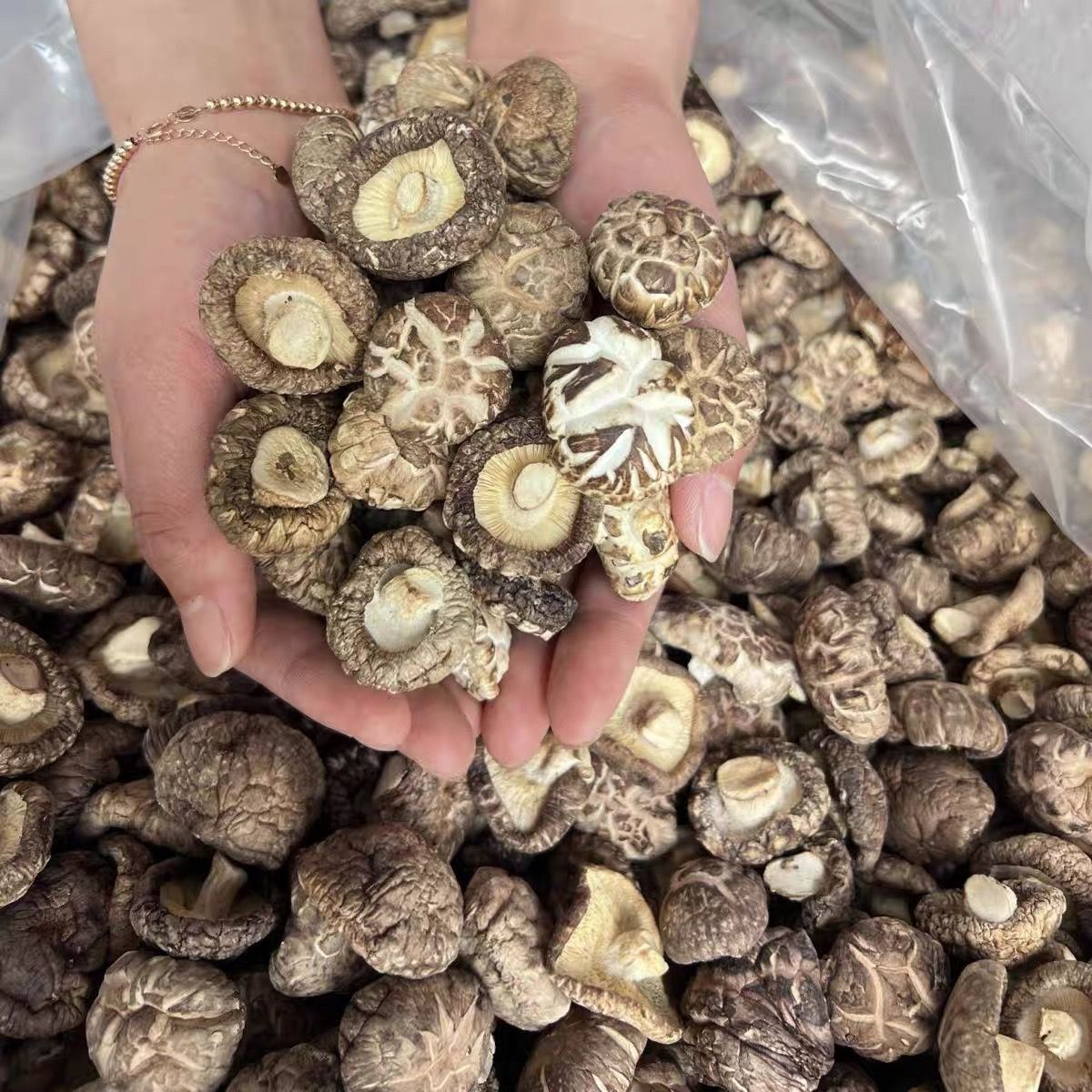 【八荒】茶花菇干货500g批发古田新鲜干香菇菌菇火锅食材花菇250g 图片 8
