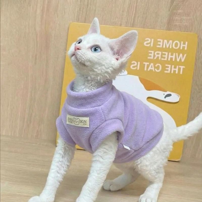 秋冬季小型宠物保暖衣小狗小猫短袖服饰防脱贴身柔软外出居家棉衣
