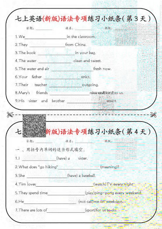 七年级上英语语法专练18天