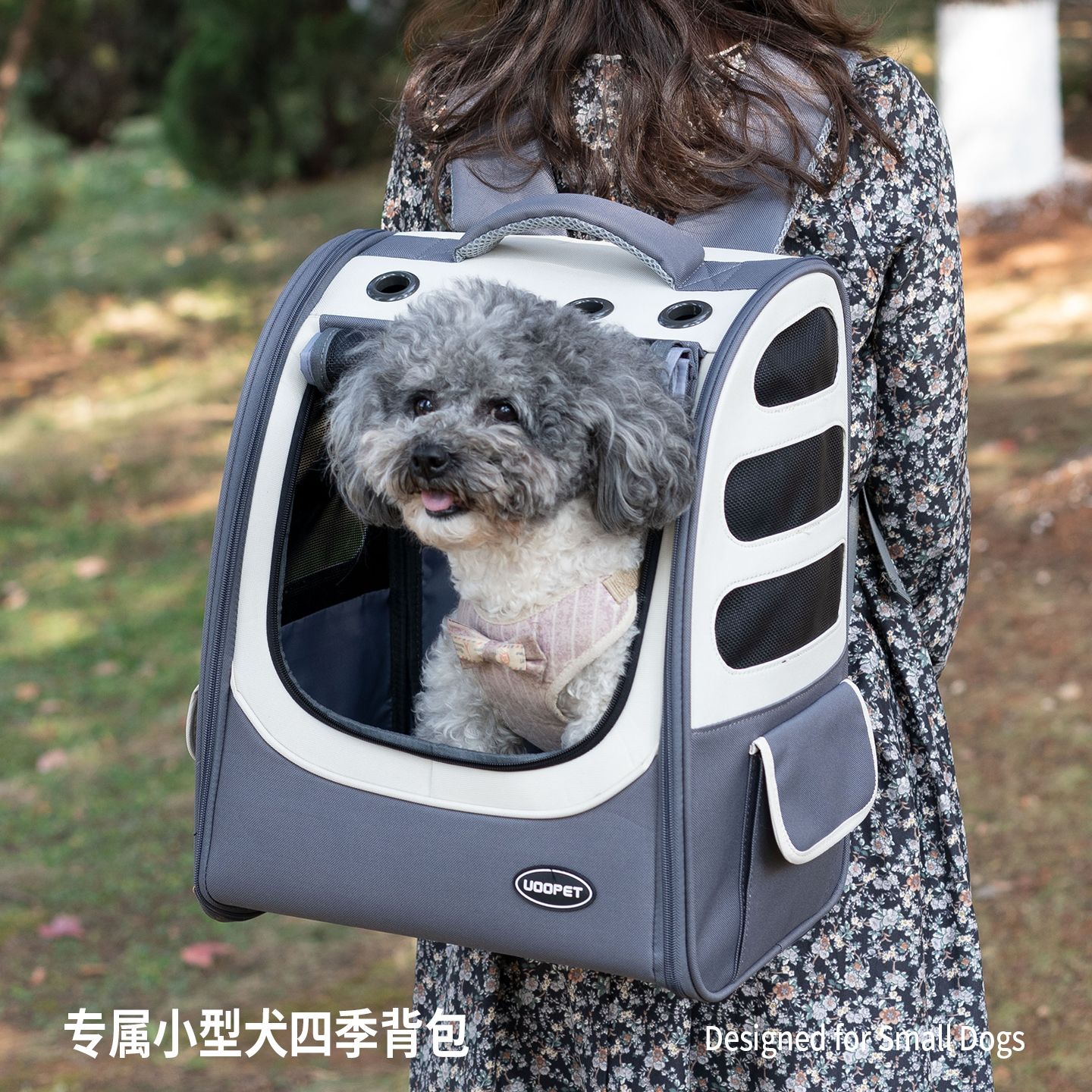 宠物外出包狗狗小型犬泰迪博美比熊背包大号狗狗书包轻便款可折叠