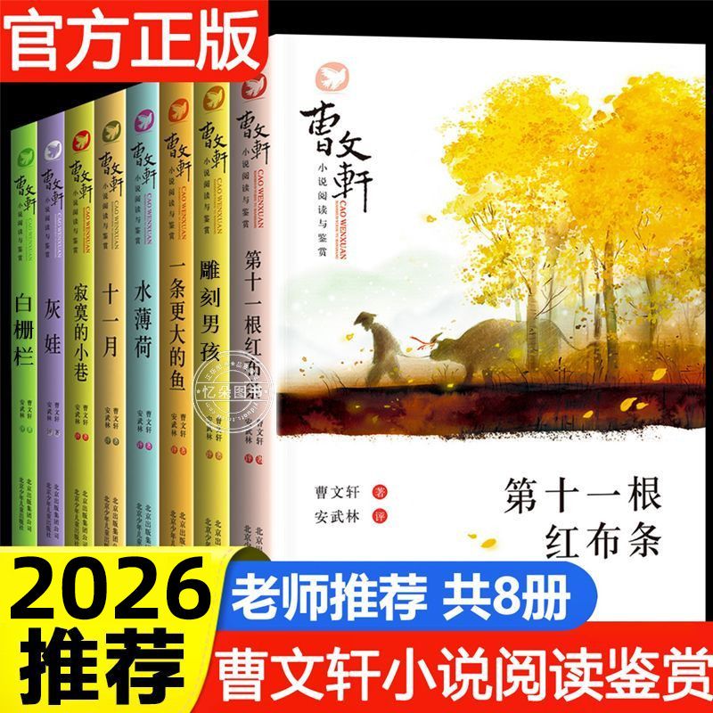 曹文轩小说阅读鉴赏第十一根红布条雕刻男孩白栅栏小学生课外阅读