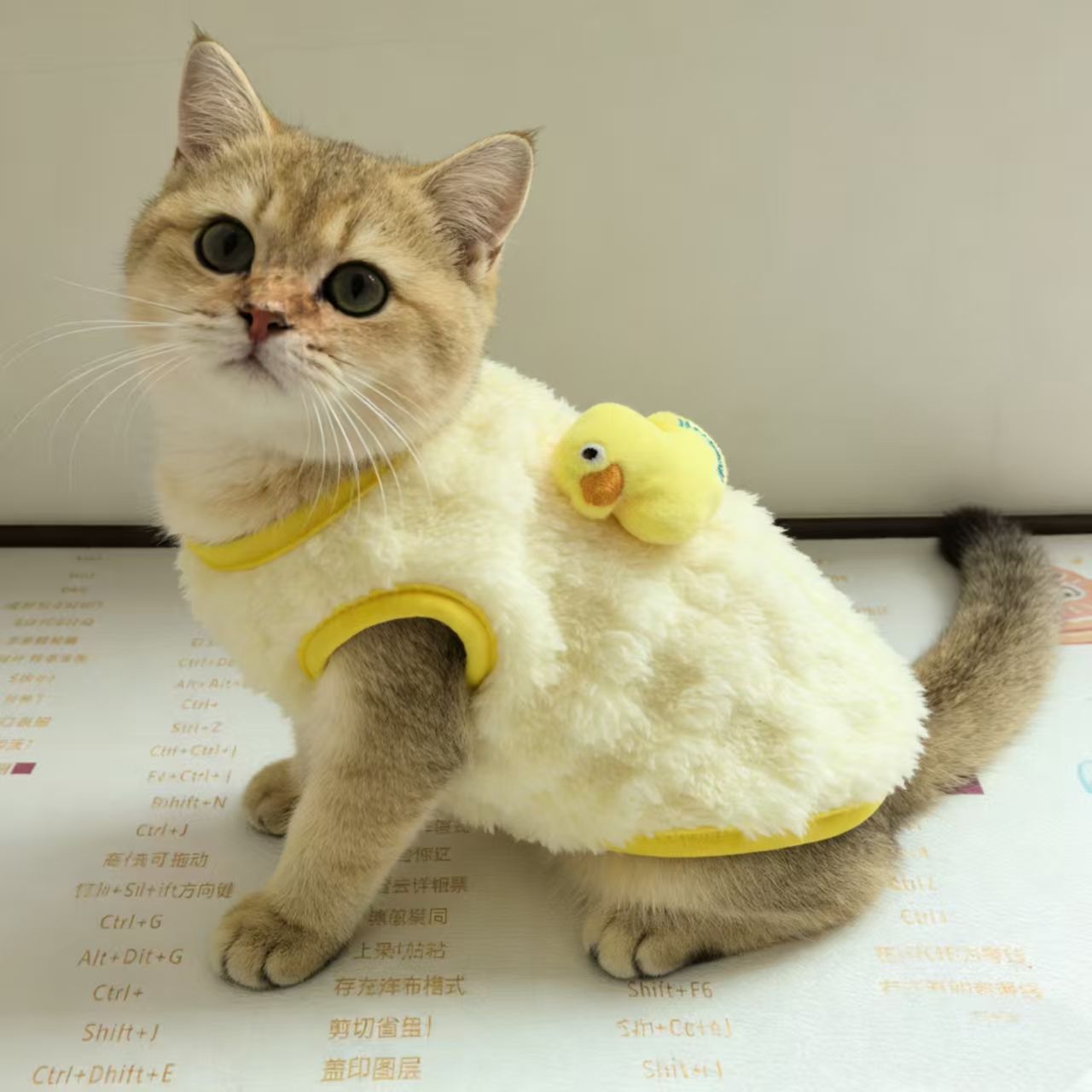 商品缩略图 8
