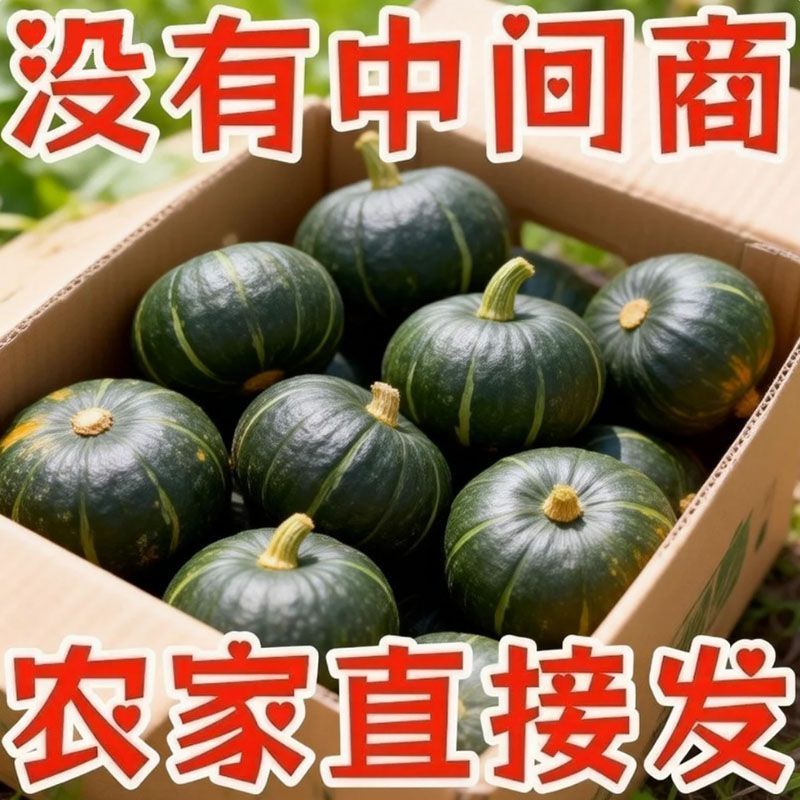 真贝贝南瓜5斤 9.9元 - 线报酷