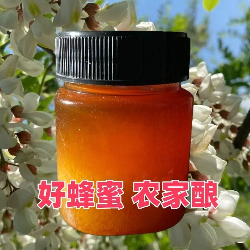 正宗农家蜂蜜土蜂蜜百花蜜正品蜂场蜜农家直发批发 图片 7