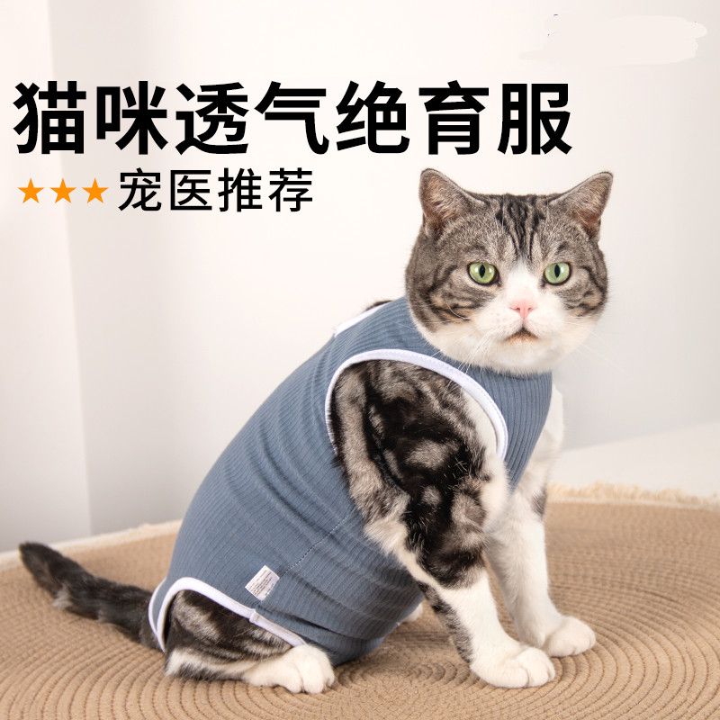 猫咪绝育服可调节宠物术后服断奶服防护服防掉毛防咬透气母猫专用