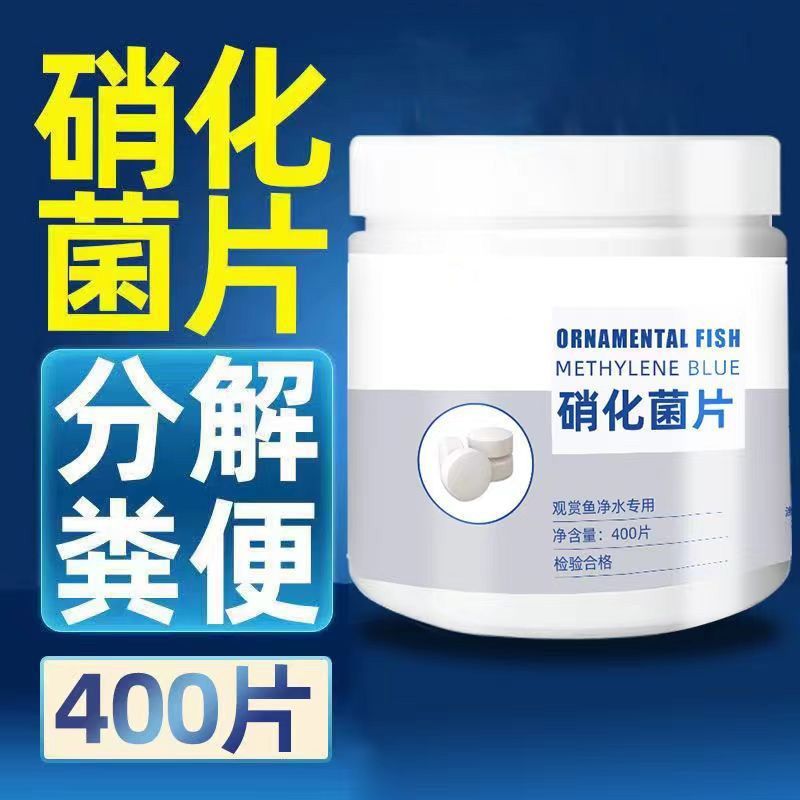 水产养殖用药硝化细菌 - 鱼类细菌性疾病特效药