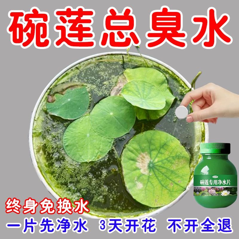 碗莲专用净水片睡莲肥料通用水溶肥水培种子发芽生根促开花防黄叶
