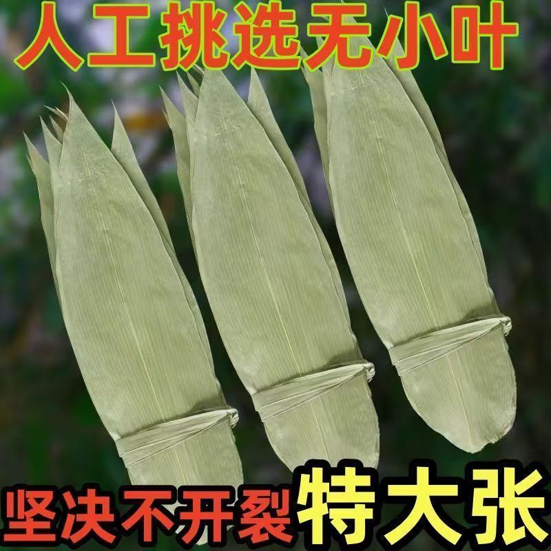 5斤装粽子叶干特大粽子叶端午节家用晒干送教程送绳子线 图片 4