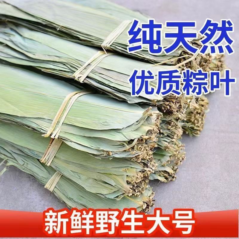 5斤装粽子叶干特大粽子叶端午节家用晒干送教程送绳子线 图片 5