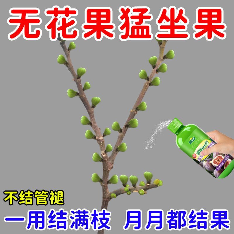 发芽就坐果无花果专用肥料催花增甜膨果无花果树营养液催果氮肥
