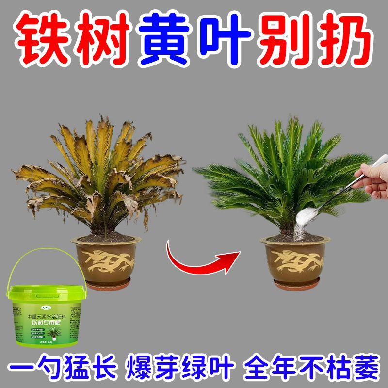 铁树专用肥营养液叶子发黄干枯卷叶专用叶面肥促生根发芽生长氮肥