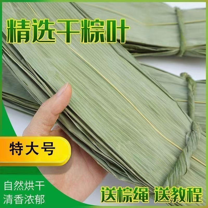 5斤装粽子叶干特大粽子叶端午节家用晒干送教程送绳子线