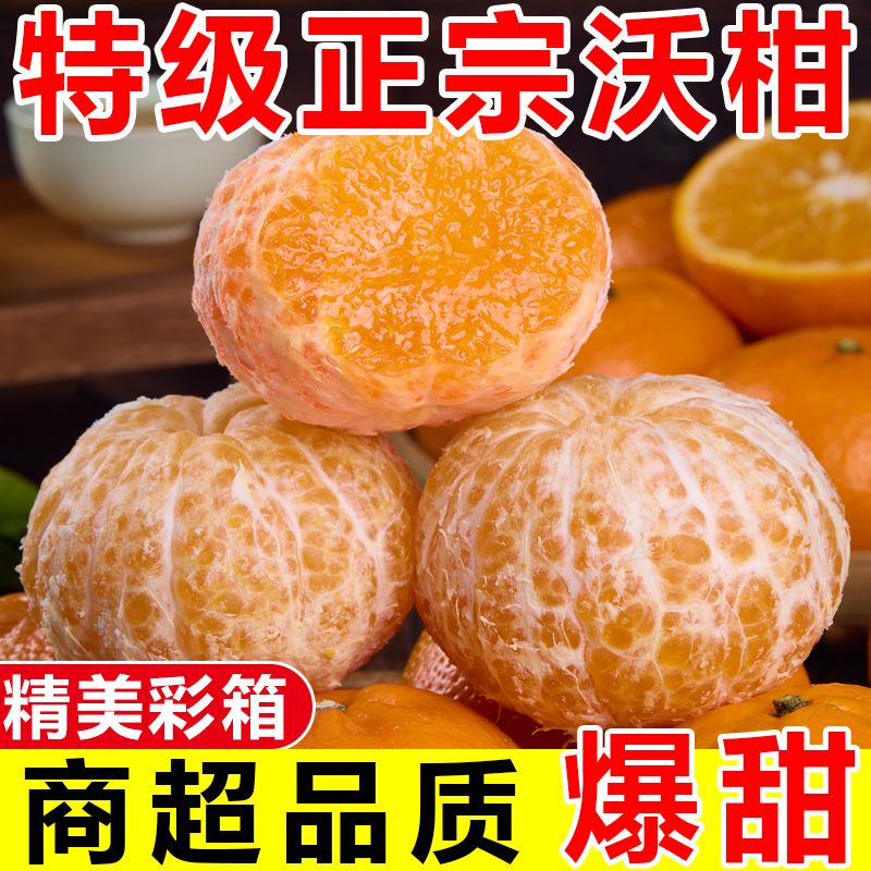 【彩箱装】正宗云南高山沃柑应季橘子柑橘新鲜桔子水果批发一整箱