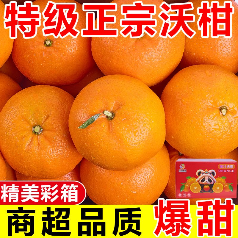 【彩箱装】正宗云南高山沃柑应季橘子柑橘新鲜桔子水果批发一整箱
