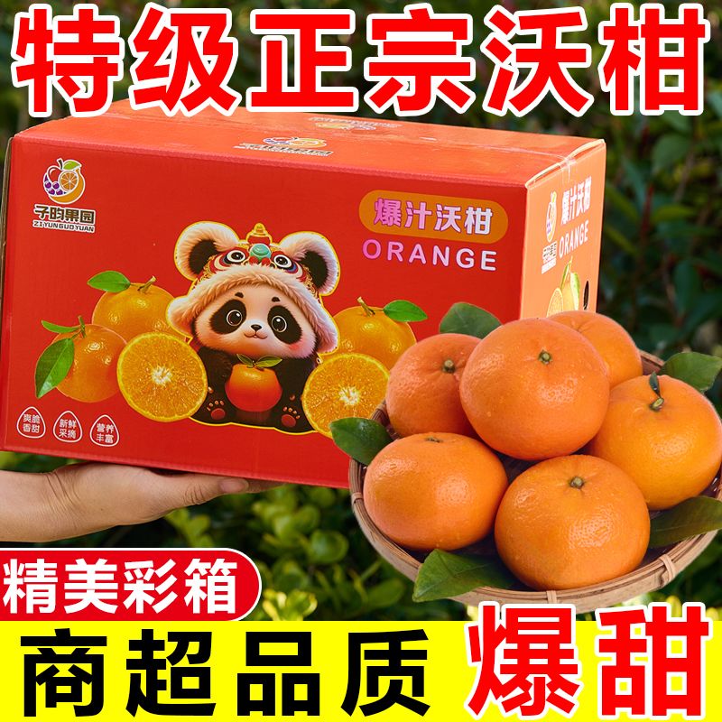 【彩箱装】正宗云南高山沃柑应季橘子柑橘新鲜桔子水果批发一整箱