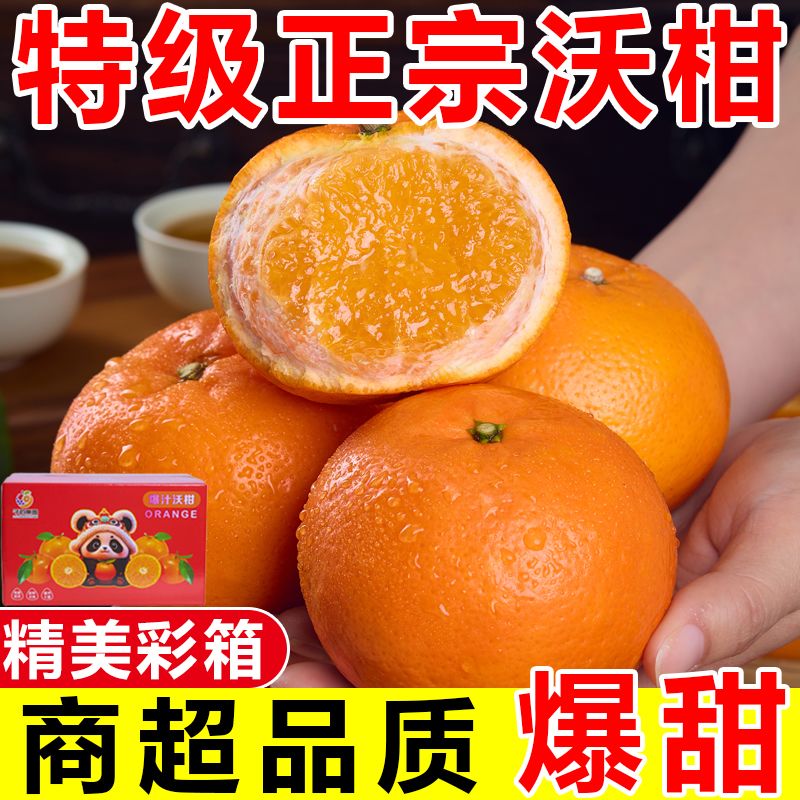 【彩箱装】正宗云南高山沃柑应季橘子柑橘新鲜桔子水果批发一整箱