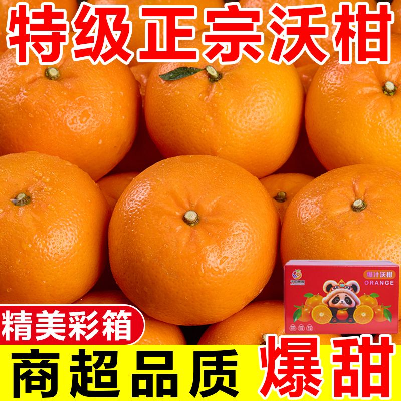【彩箱装】正宗云南高山沃柑应季橘子柑橘新鲜桔子水果批发一整箱