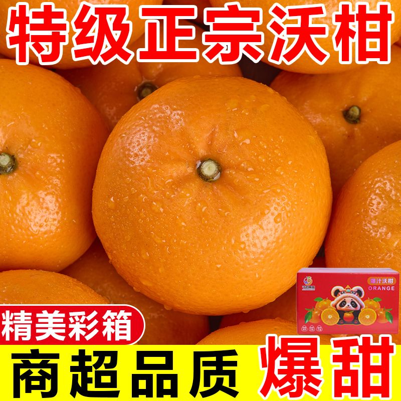 【彩箱装】正宗云南高山沃柑应季橘子柑橘新鲜桔子水果批发一整箱