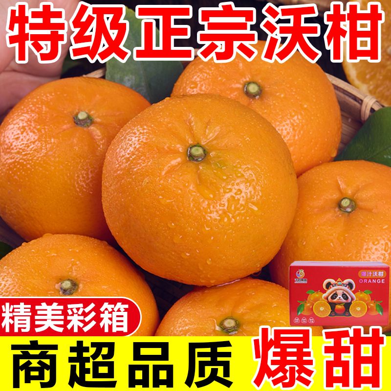 【彩箱装】正宗云南高山沃柑应季橘子柑橘新鲜桔子水果批发一整箱